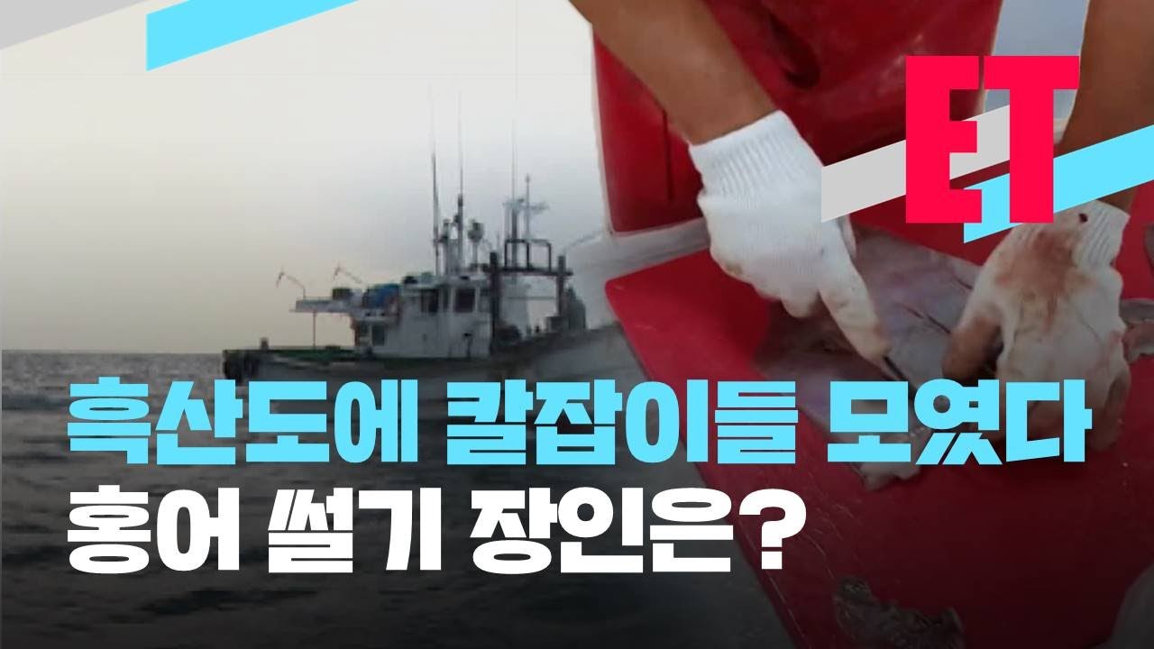 [ET] 톡 쏘는 흑산 홍어…홍어 썰기 장인 모셔라 / KBS  2021.12.06.