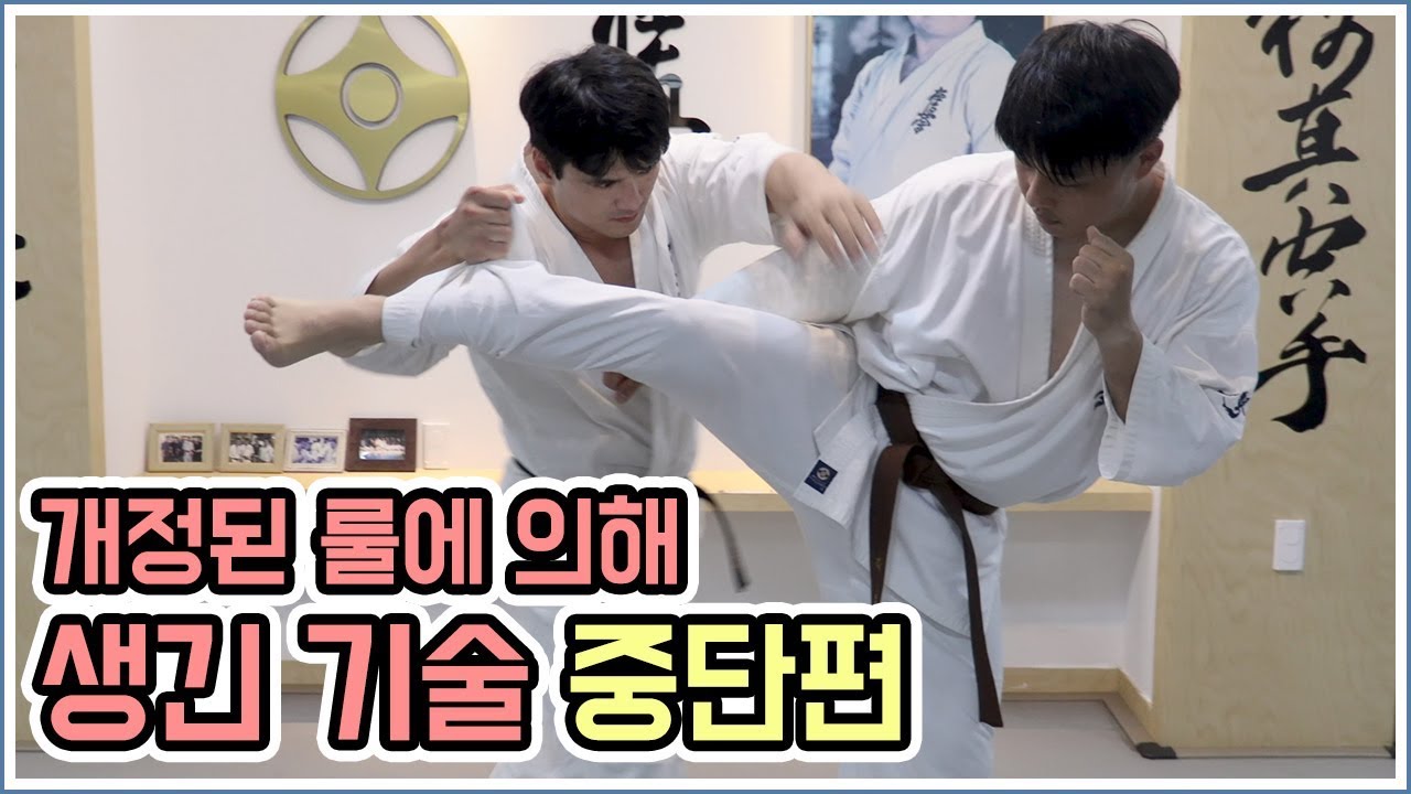 동작이 큰 발차기를 잘 안쓰는 이유 2# - 중단 카운터 [극진가라데/kyokushin karate]