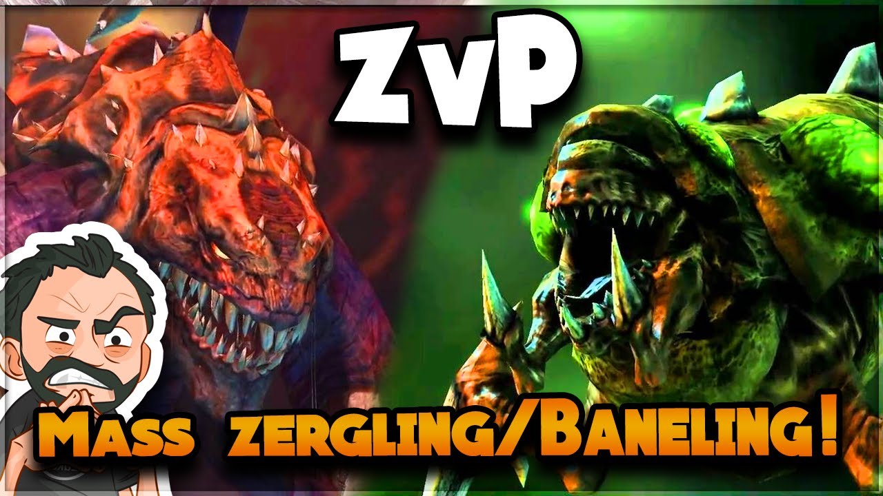 Le MEILLEUR Opening en ZvP ?! Mass ZERGLING / BANELING | StarCraft 2 [FR]
