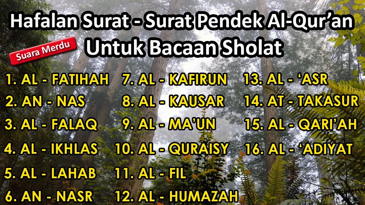 Surat surat pendek Al Quran untuk bacaan sholat | surah al fatihah an nas - al adiyat