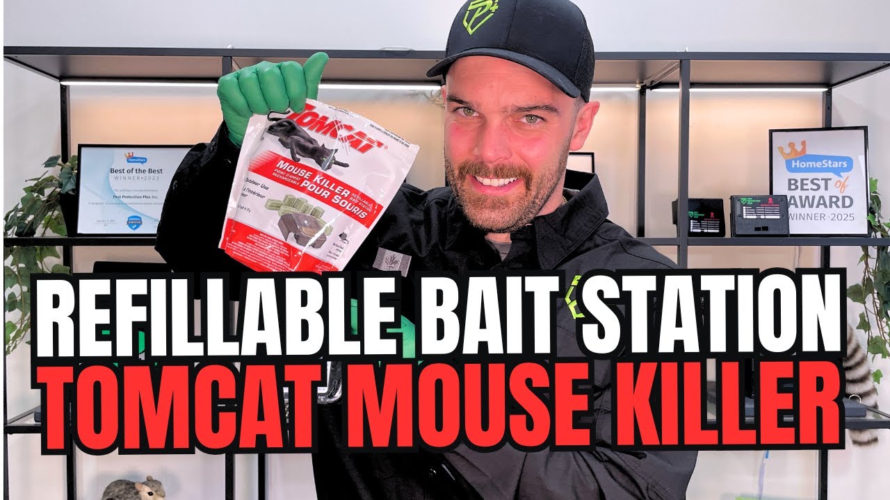 Do Tomcat Refillable Bait Stations Work to Get Rid of Mice? An Expert Review!