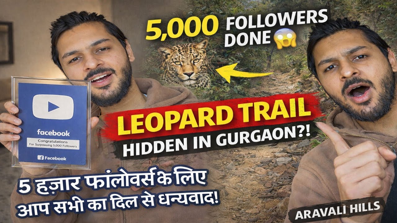 This Hidden Aravali Trail in Gurgaon Will Shock You 😱 | 5K Special Vlog