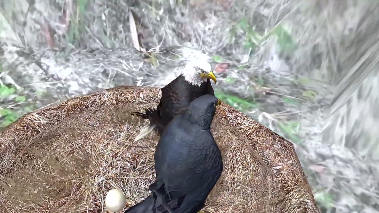 Ultimate Eagle Simulator Ultimate Bird Simulator