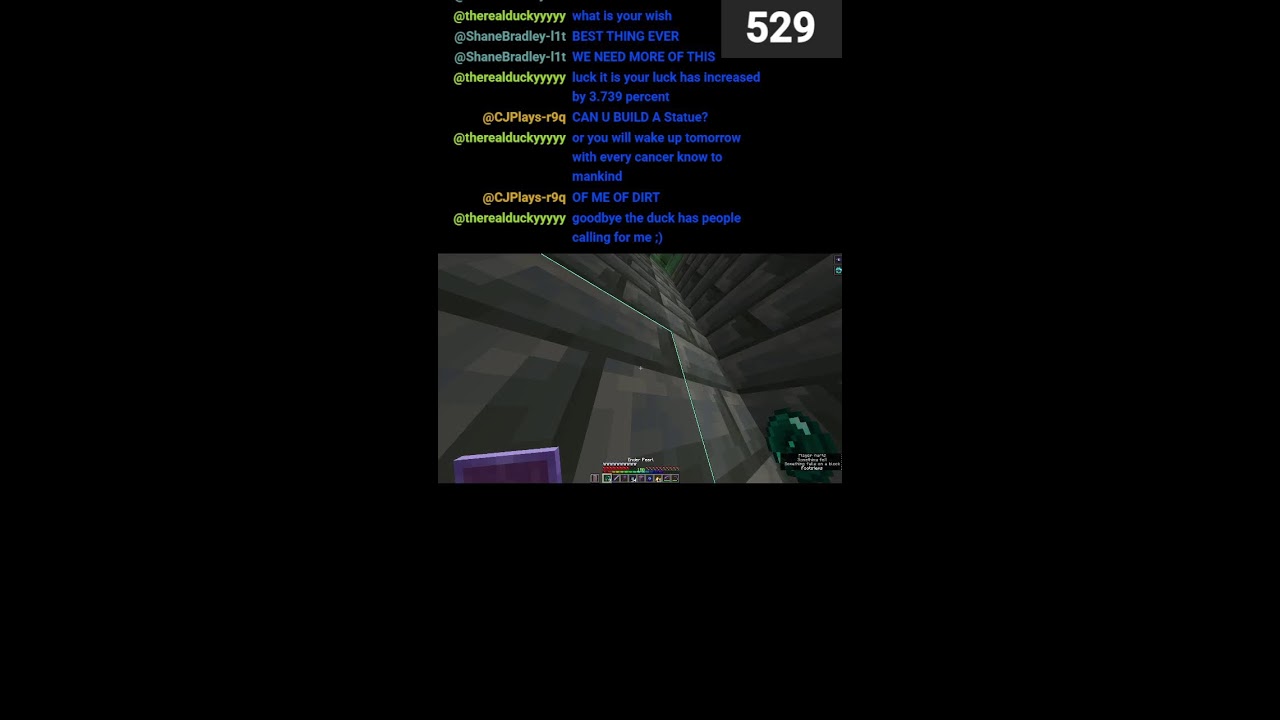 minecraft stream idk idk  (Portrait)