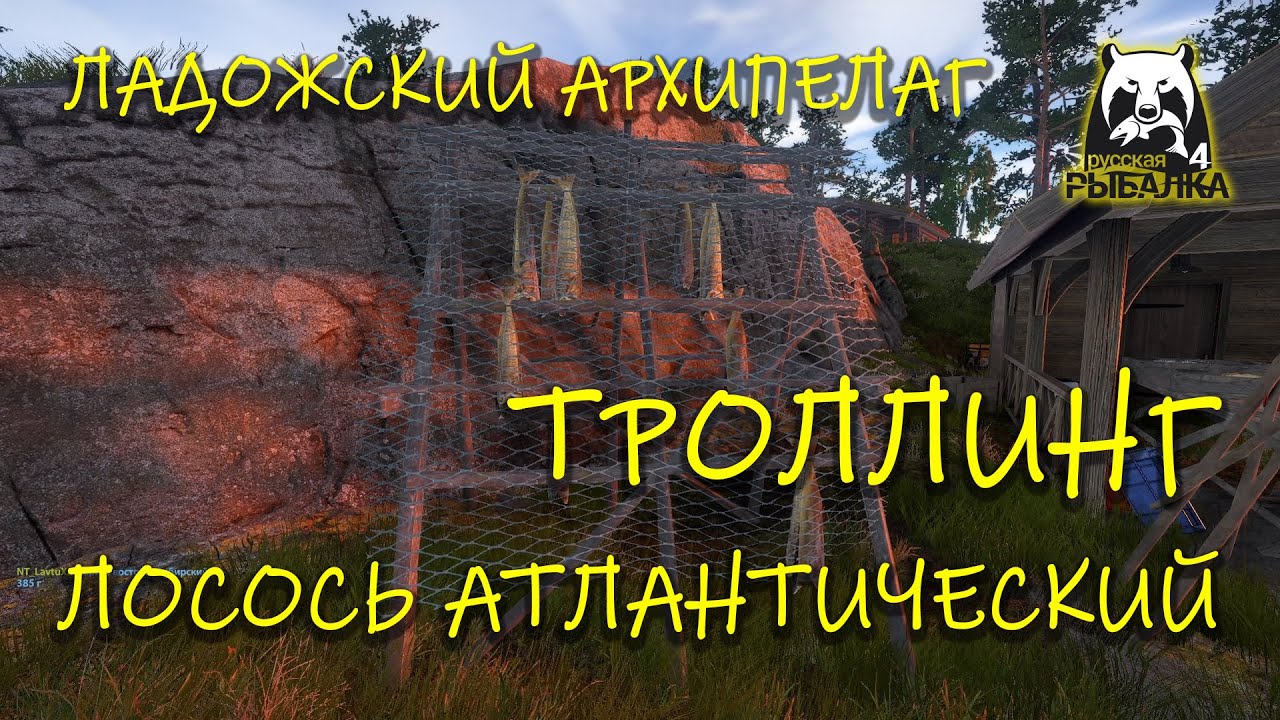 Русская рыбалка 4. рр4. Ладожский архипелаг. Пошел лосось атлантический.