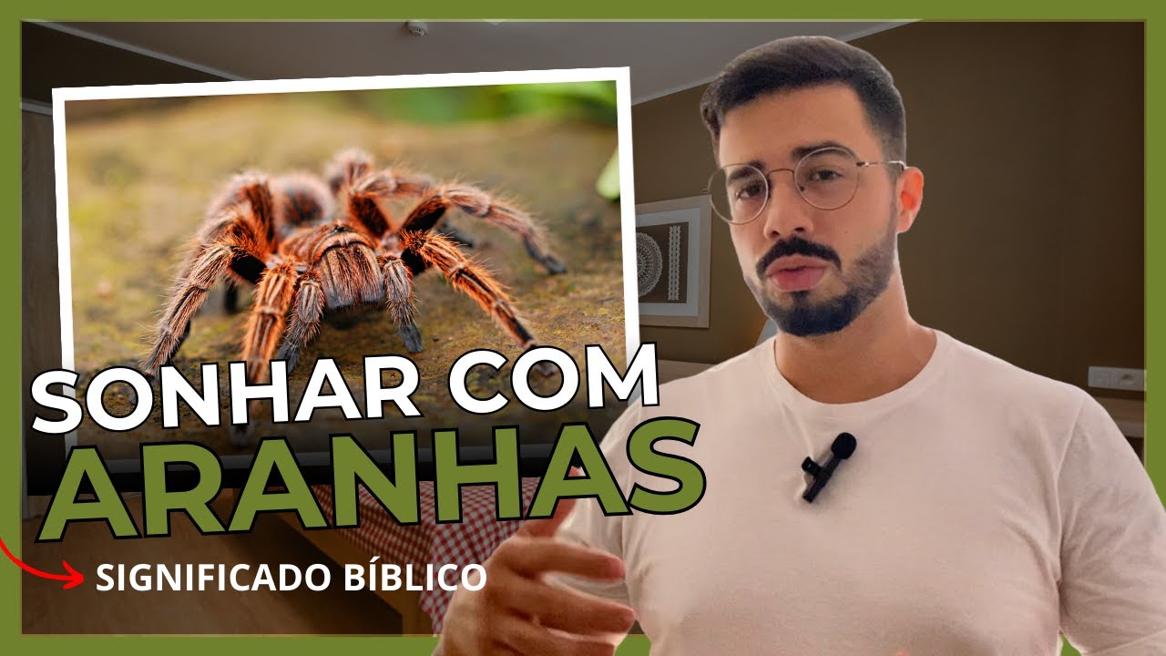 O QUE SIGNIFICA SONHAR COM ARANHAS E TEIA DE ARANHA SEGUNDO A BÍBLIA?