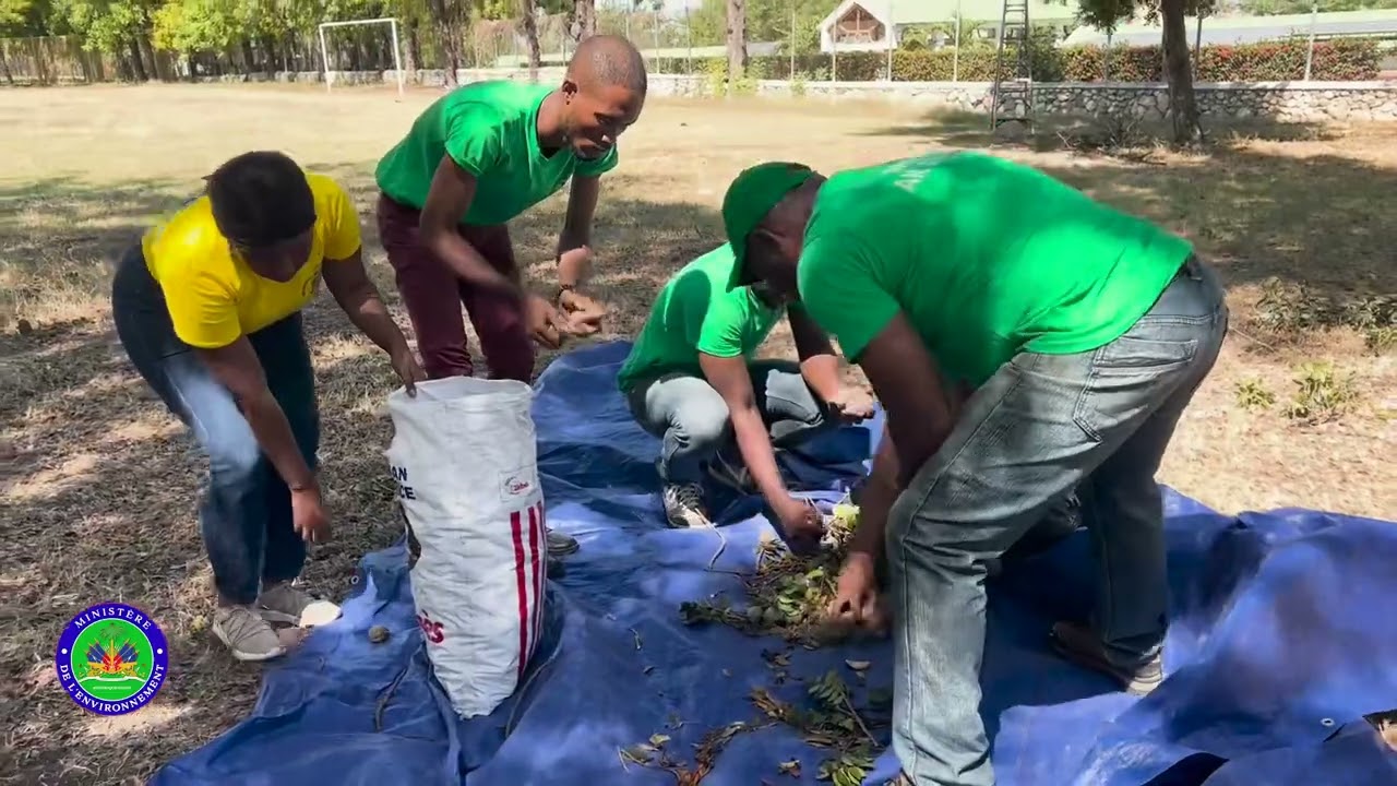 Campagne collecte de semences natives et endémiques d’Haïti
