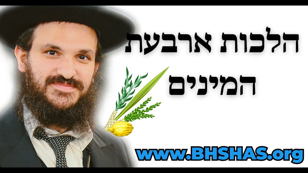 הלכות ארבעת המינים