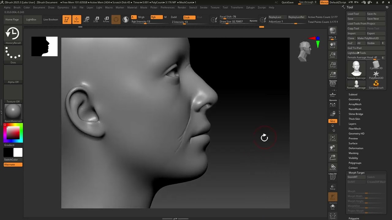 Sculpting Skin Details in Brush