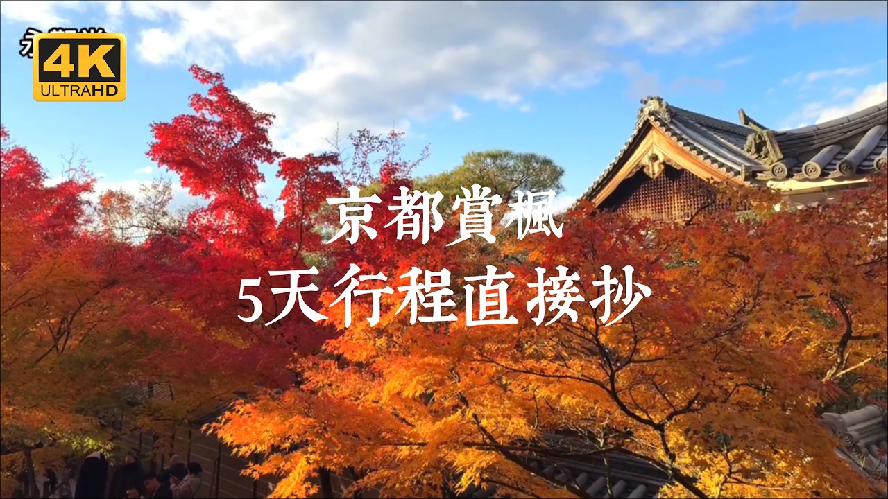 【京都一人旅 EP39】京都賞楓不踩雷！5天楓紅行程懶人包，直接抄就對了｜永觀堂、一乘寺、高雄三寺、泉湧寺、南禪寺 |「京都賞楓指南」電子書無料下載中！