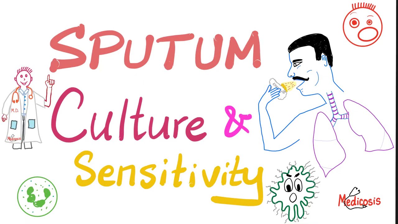 Sputum Culture and Sensitivity - Sputum Sample - Labs 🧪