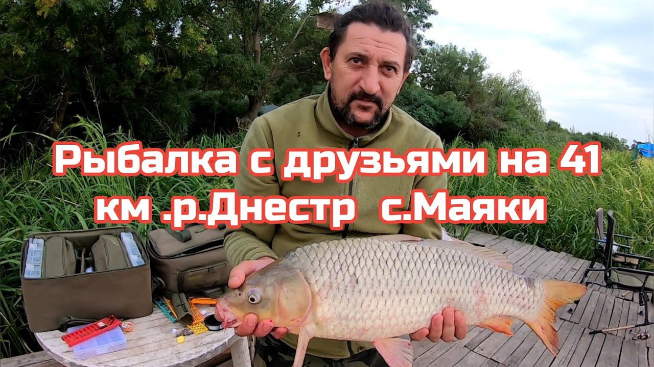 Ловим с друзьями КАРПА  на 41 км .р .Днестр.