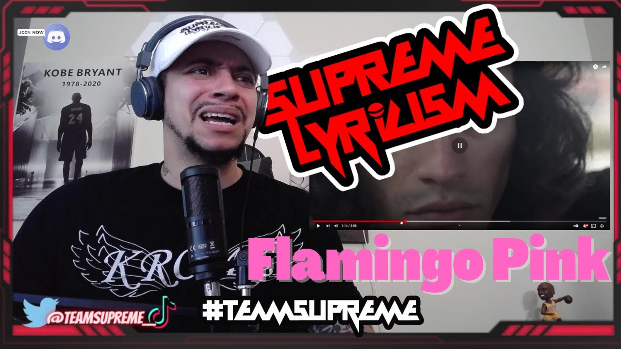SORRY FOR THE RANT!!!!!! Aesop Rock x Blockhead - Flamingo Pink REACTION