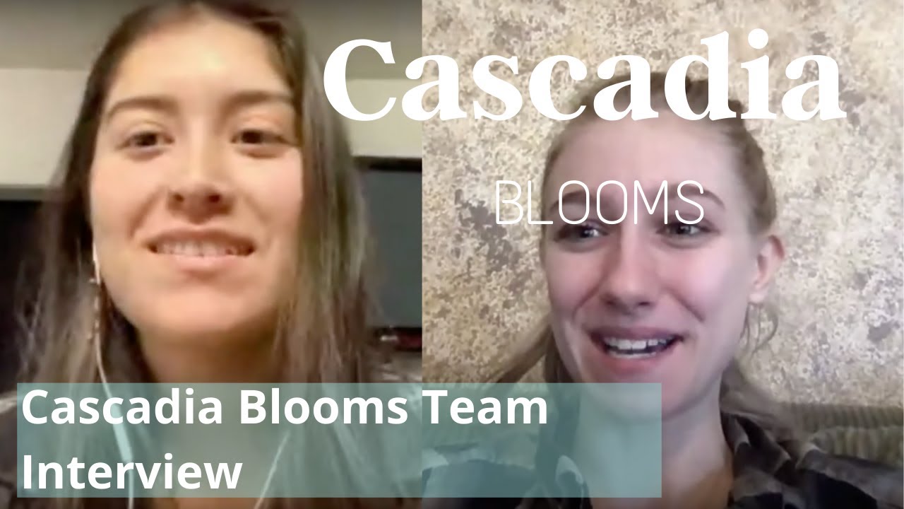 Cascadia Blooms Interview with Nico (CBD Flower Trimmer & Packaging)