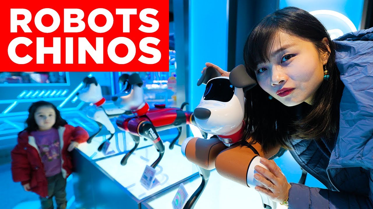 LOS ROBOTS DE CHINA: &iquest;REALIDAD O FICCI&Oacute;N? | Jabiertzo