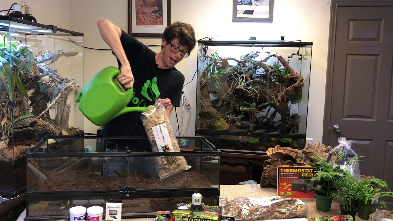 How to setup a Bioactive African Fat Tail Gecko Terrarium - Self Cleaning and Maintaining