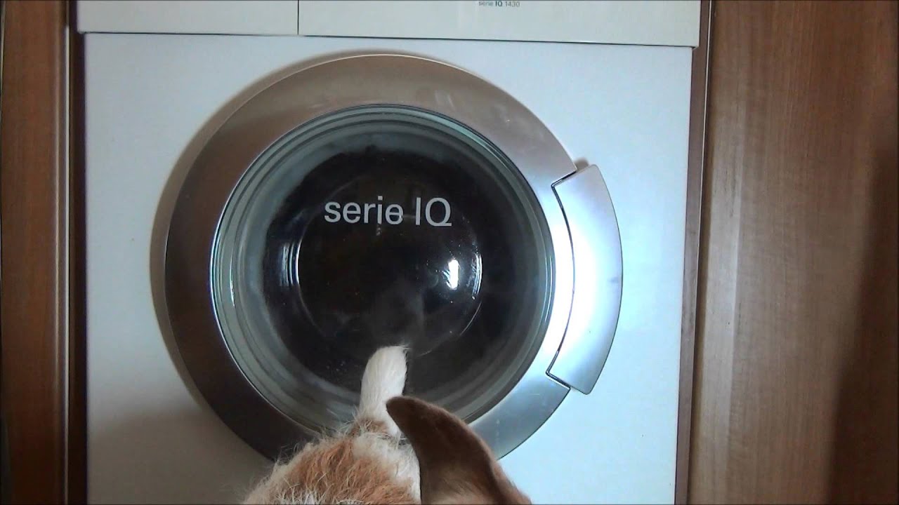 Siemens Serie IQ 1430 washer : Cotton 40'c half load rinse plus (full cycle)