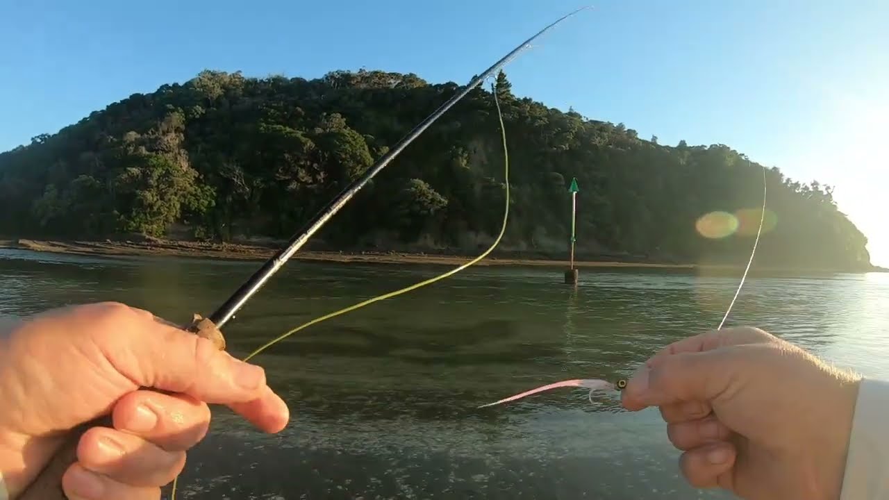 Wenderholm fly stalking mission