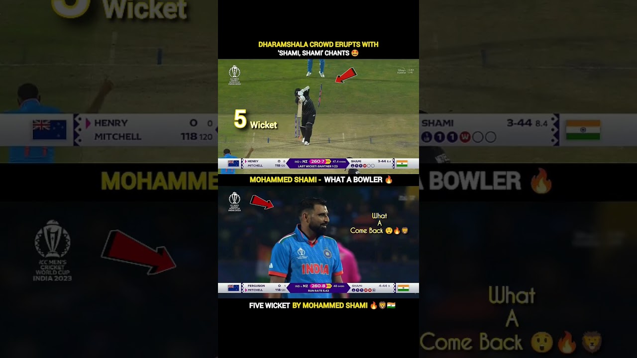 Mohammed Shami 5 Wickets vs New Zealand 🦁 | Cricket Shorts | Cricket #rohitsharma #cricket  #shorts