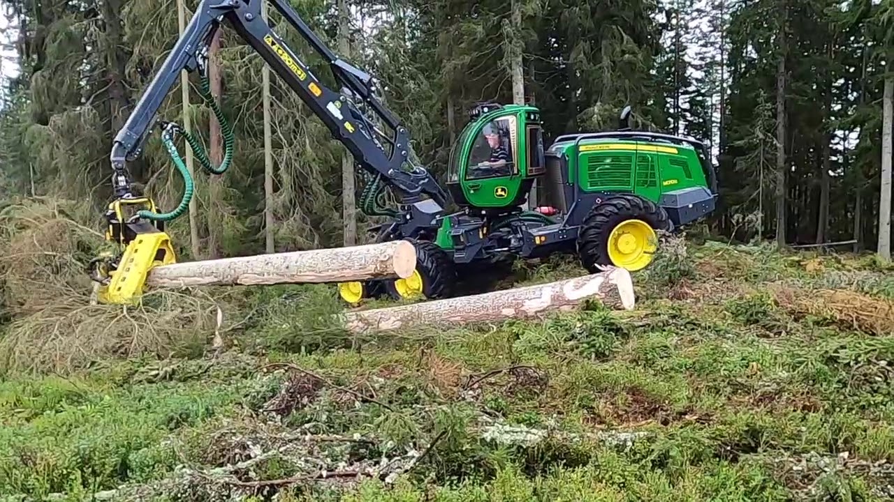 John Deere 1470G harvester felling big trees