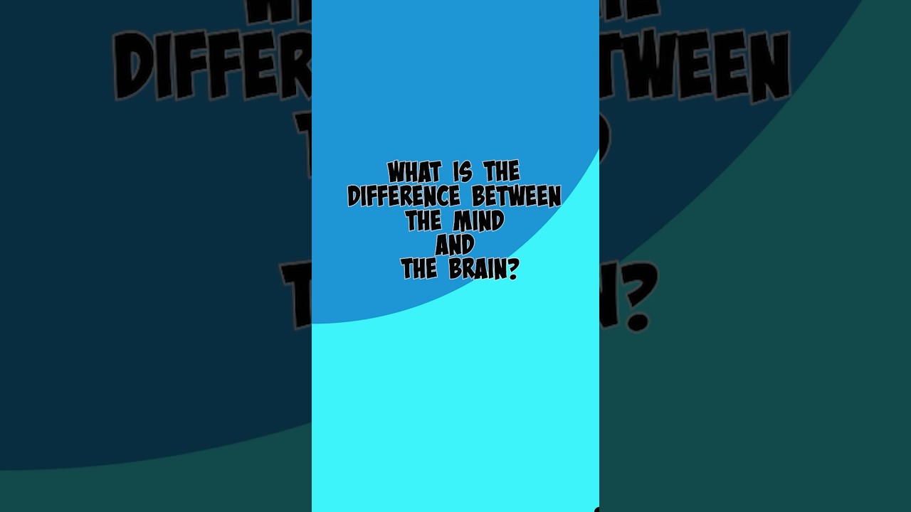 What is the difference between the mind and the brain?