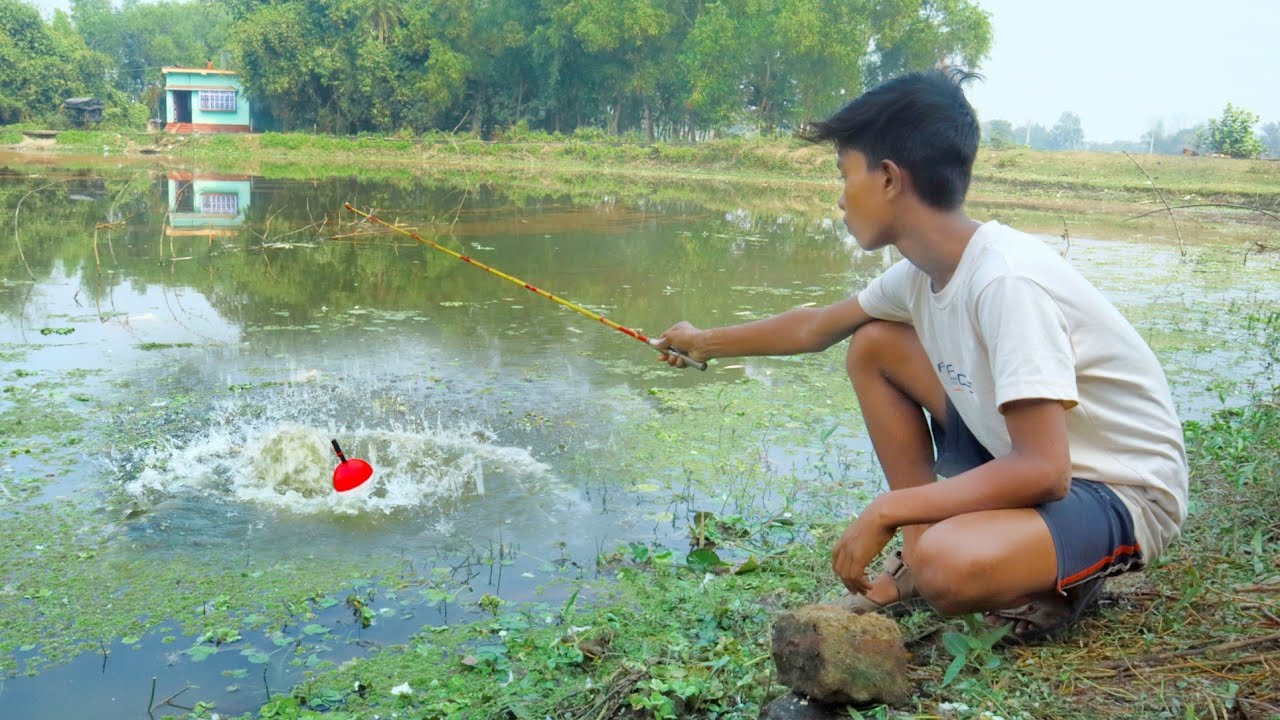 Fishing Video || Expert fisherman fishing in the village side pond using hook| hook fishing