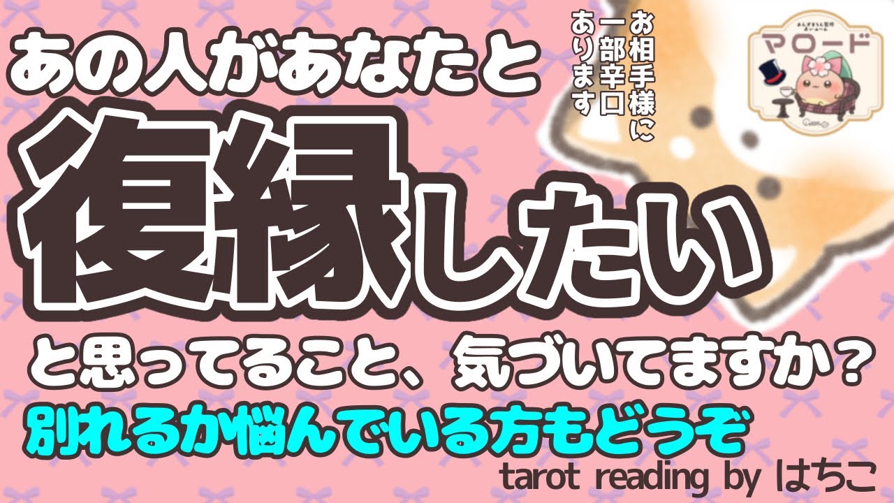 この愛、戻ってきますか？❤️‍🩹復縁リーディング🐶