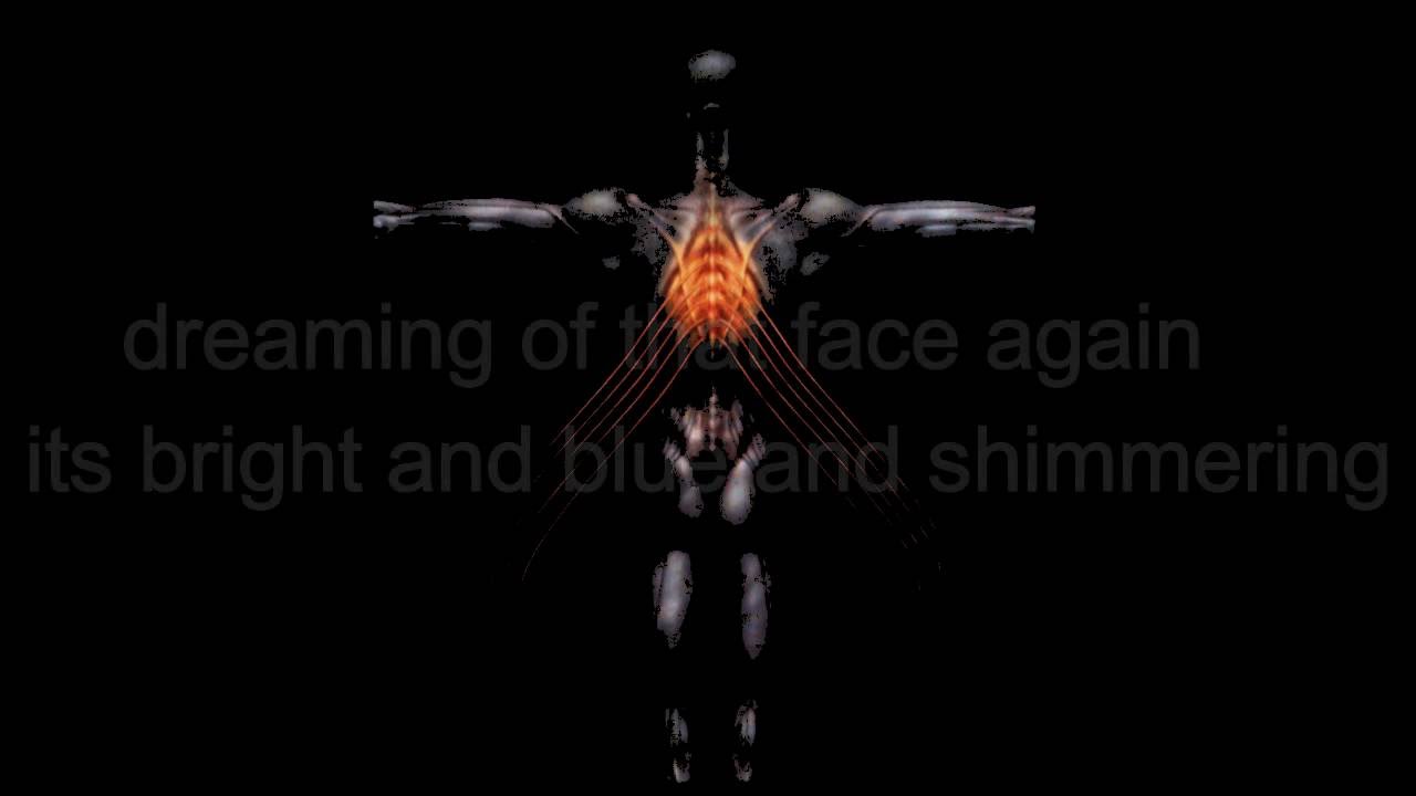 Tool - Third Eye Live ( Lyrics)