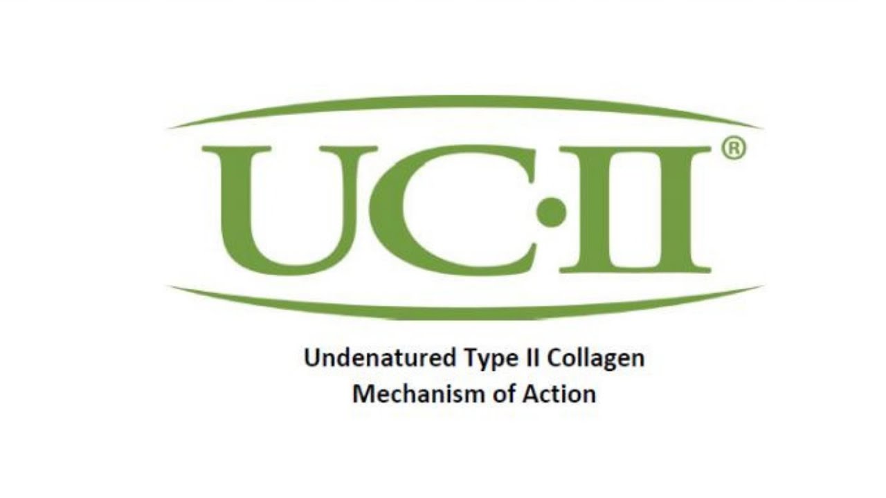 NOW UC-II® for Joint Support* Webinar | Undenatured Type II Collagen