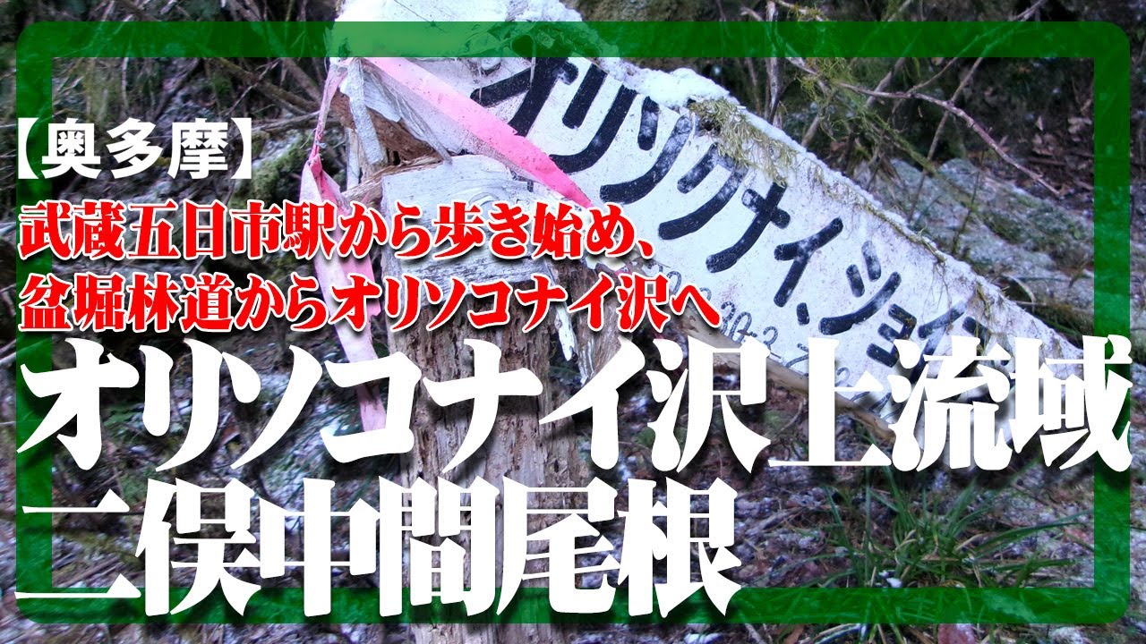 【奥多摩】オリソコナイ沢上流域二俣中間尾根を登った映像です。　Orisokonaisawa-jyoryuiki-hutamatatyukanone in Okutama Tokyo Japan.