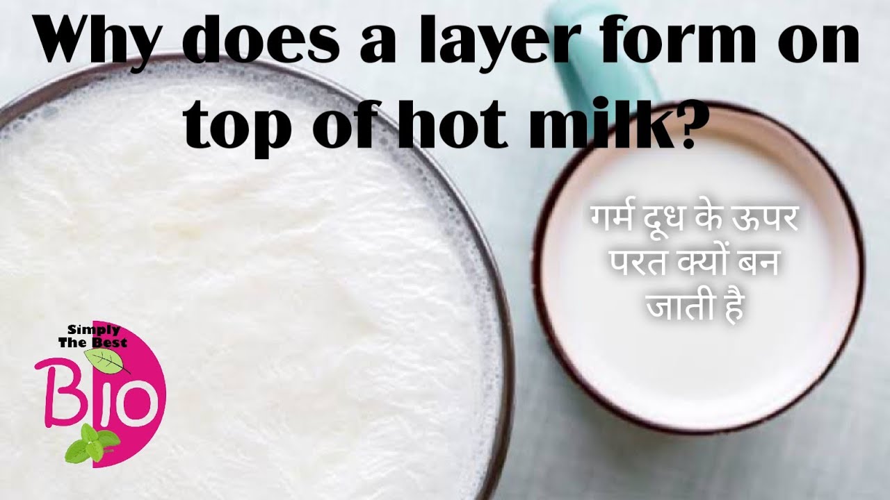 Why does a layer form on top of hot milk? गर्म दूध के ऊपर परत क्यों बन जाती हैby Simply The Best BIO