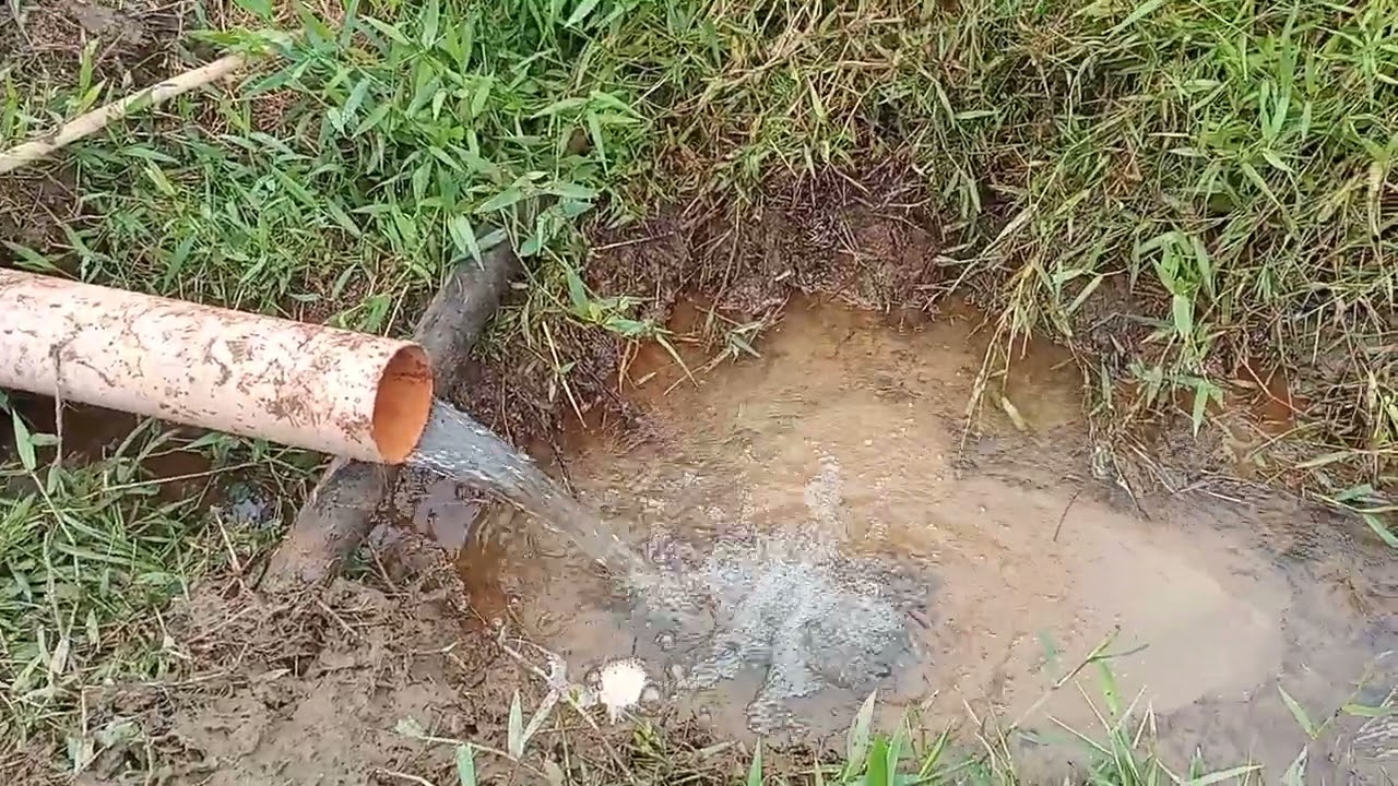 outro lago para lambari