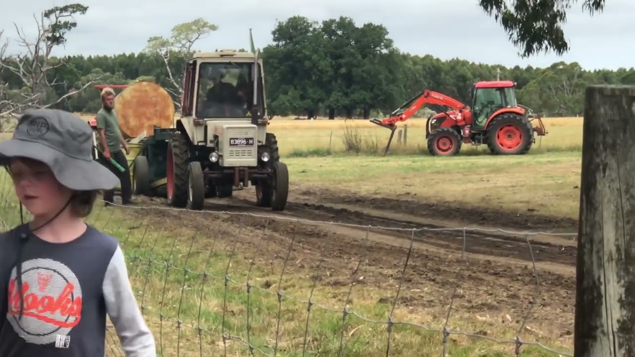 Belarus 250 (T25) tractor pull at Orford Vintage Rally