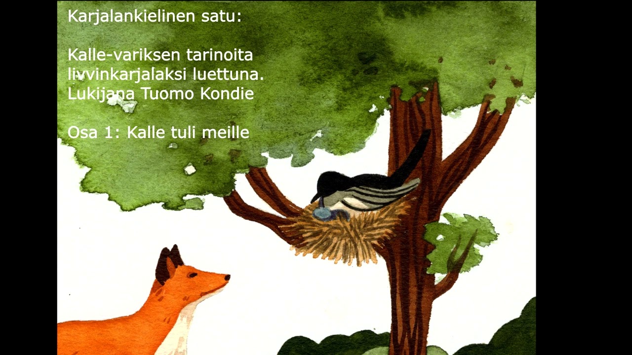Karjalainen satu: Kalle-variksen tarinoita livvinkarjalaksi osa 1: Kalle tuli meille.