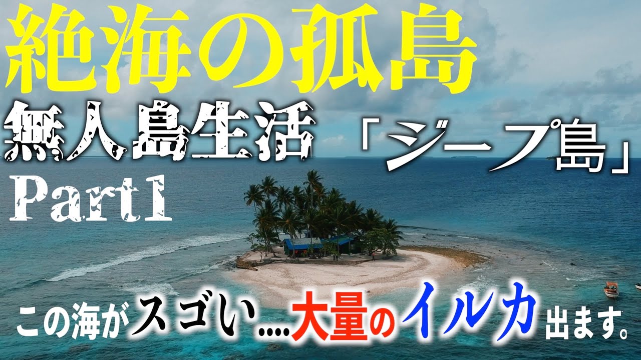 野生のイルカ達が住む幻のジープ島に完全密着！！なんとこの島1周110メートル！！前編