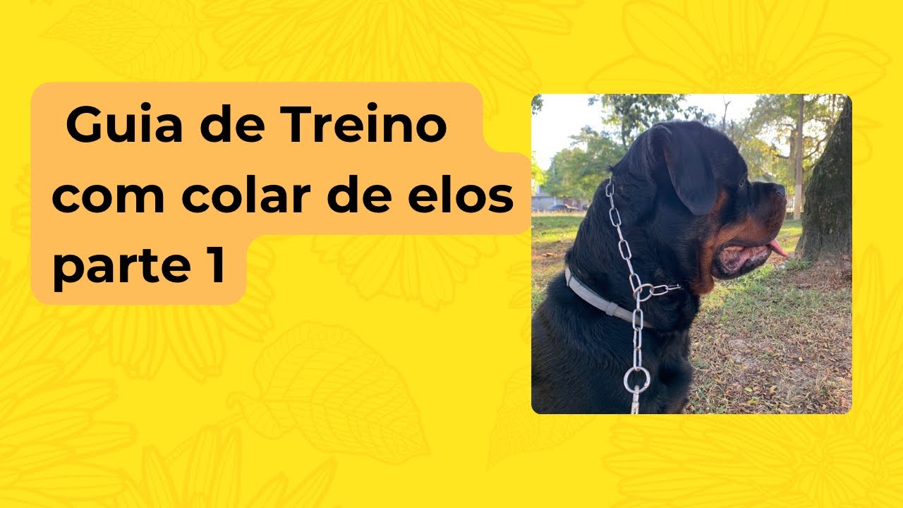 Treino com colar de elos