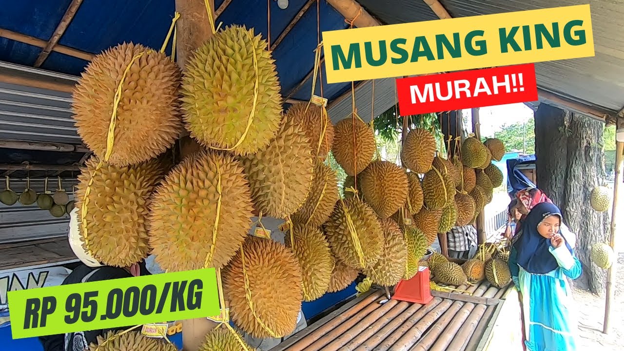 Nemu Durian Musang King Murah Di Kota Slawi