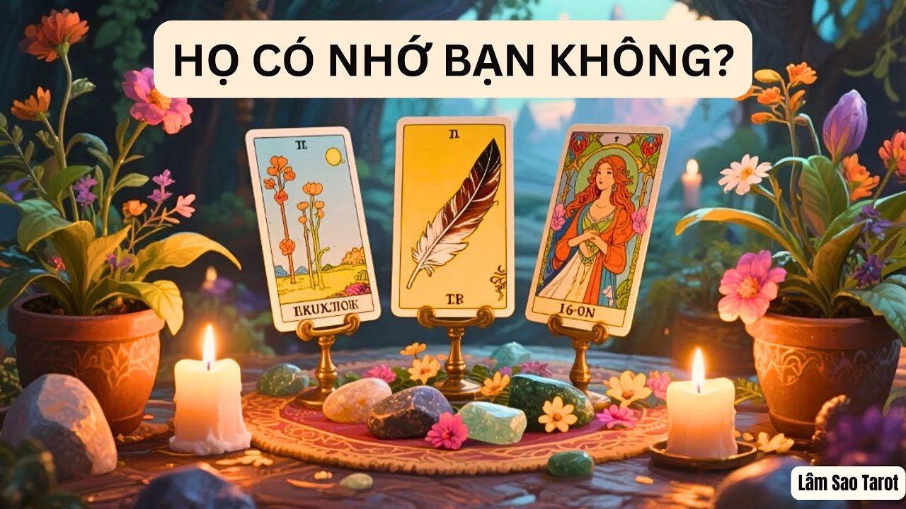 NGƯỜI BẠN ĐANG NGHĨ ĐẾN - HỌ CÓ NHỚ BẠN KHÔNG? #tarot Lâm Sao