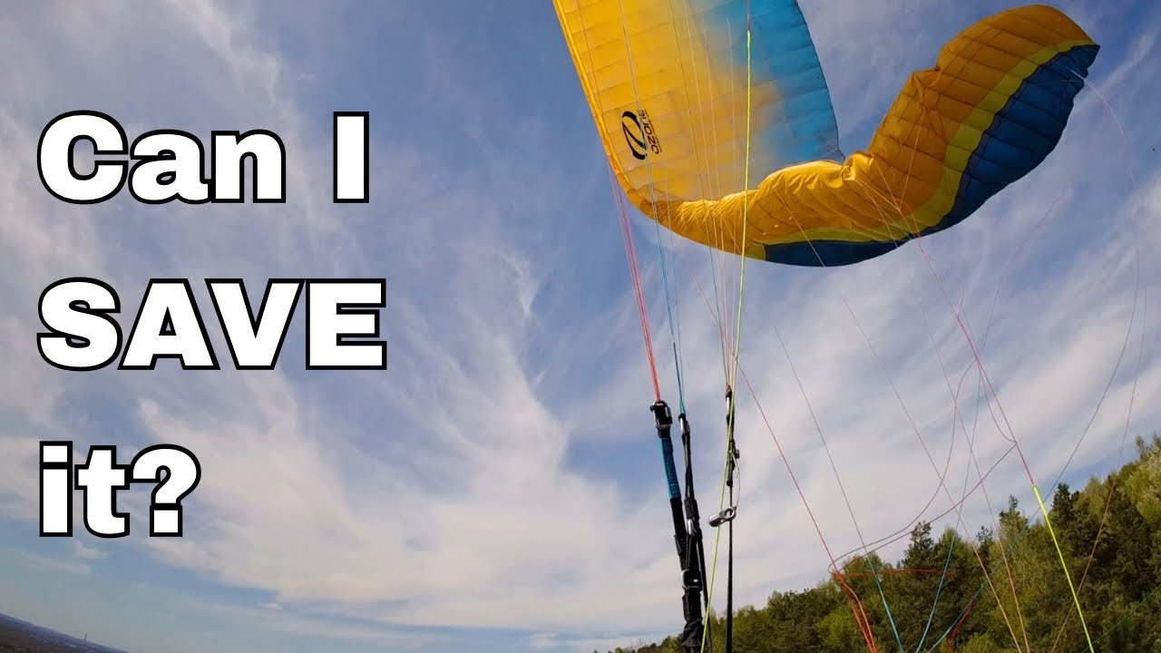 Sketchy Wing Collapse in Trees! Can I Save It?