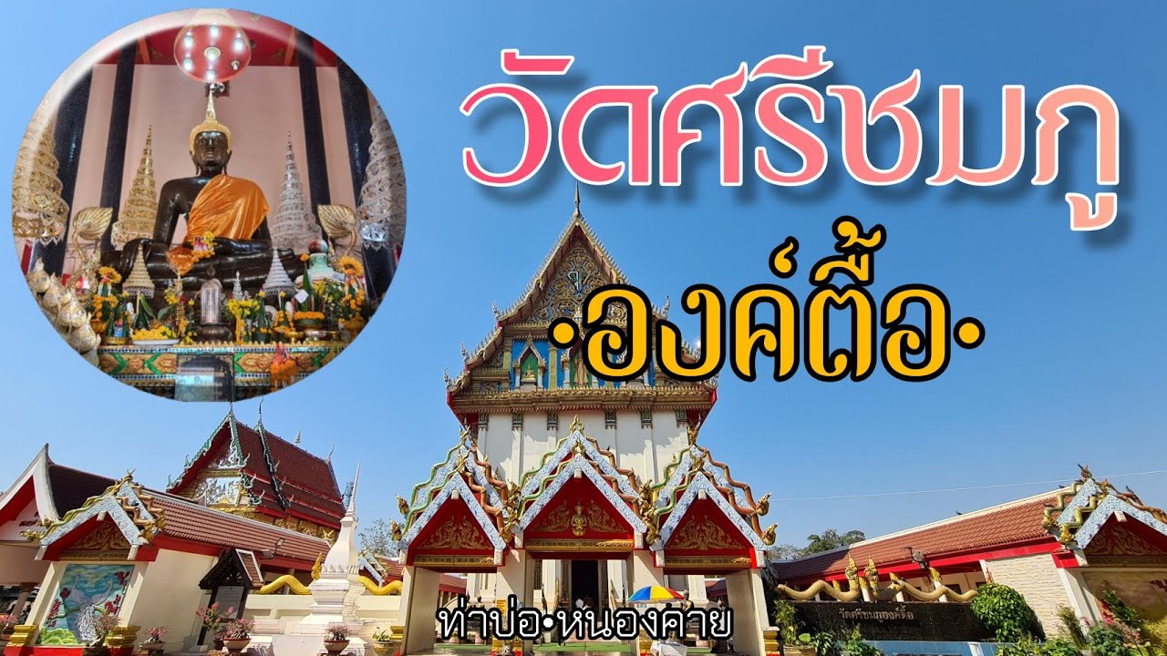 พระเจ้าองค์ตื้อ • วัดศรีชมภูองค์ตื้อ • พุทธานุภาพแห่งพระพุทธรูปศักดิ์สิทธิ์ : อ.ท่าบ่อ จ.หนองคาย