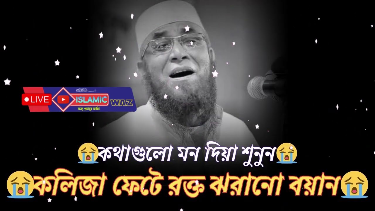 কথাগুলো মন দিয়ে শুনুন কান্না চলে আসবে   জিবনে সফলতা অর্জন করবেন কীভাবেশুনলে আপনিও সফল হতে পারবেন