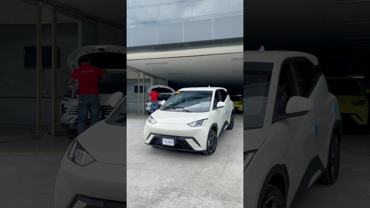 BYD SEAGULL EV 2025
