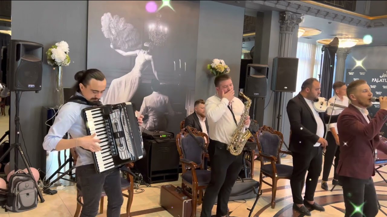 Formația- PROFOLK  //Meteli Victor //2023