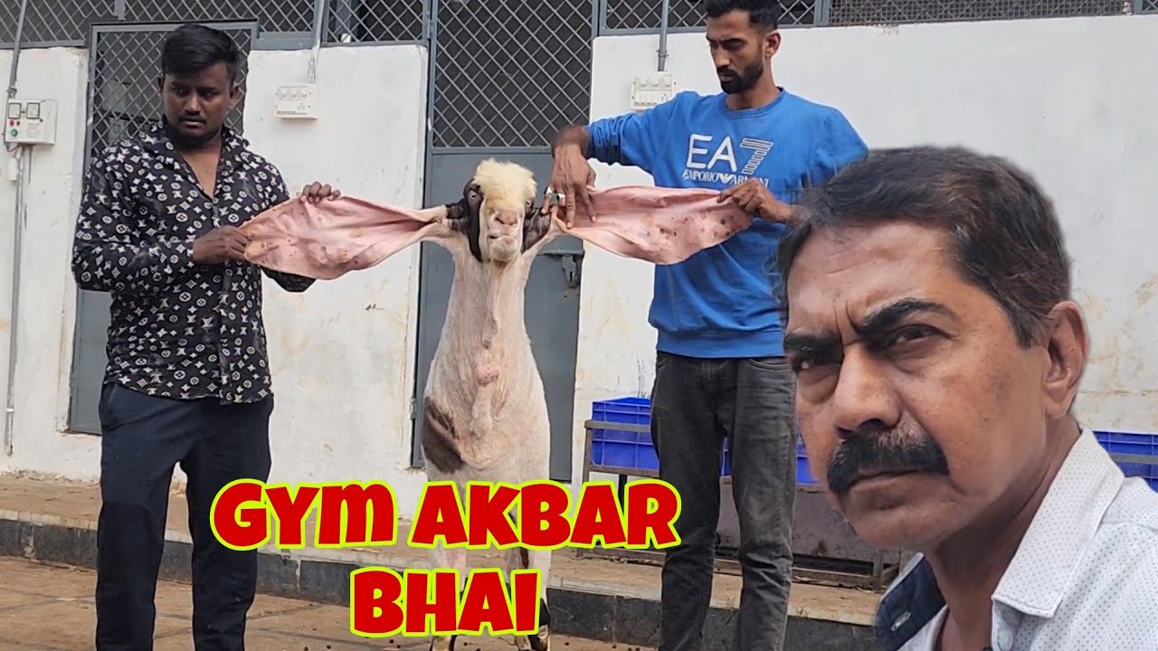 Gym Akbar Bhai Ke Ghar Ki Nasal | Biggest Hyderabadi Setup Well Build Farm In Hyderabad | Top Class.