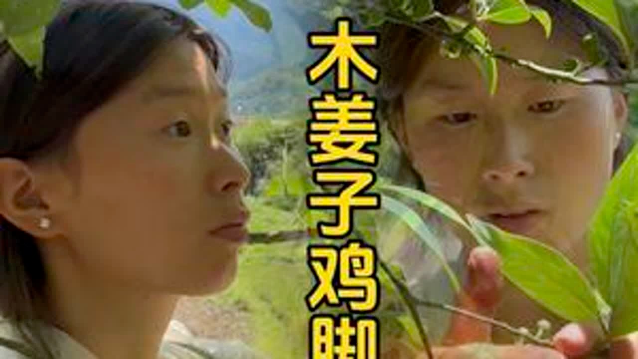 季节限定，木姜子鸡脚，简直不要太好吃#新农人计划2025 #抖音记录农村生活 #记录大山里的农村生活 #木姜子鸡脚 #季节限定