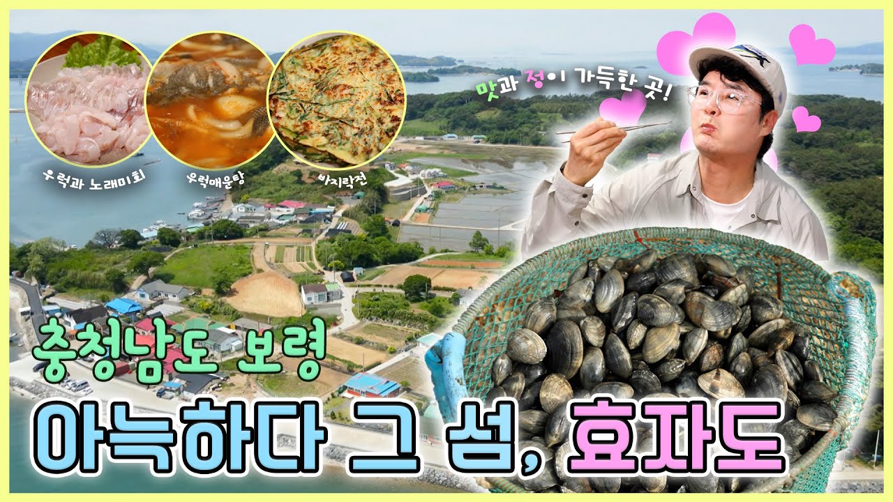 [섬섬옥수] 아늑하다 그 섬, 효자도 - 충남 보령 [6시N내고향] / KBS 방송