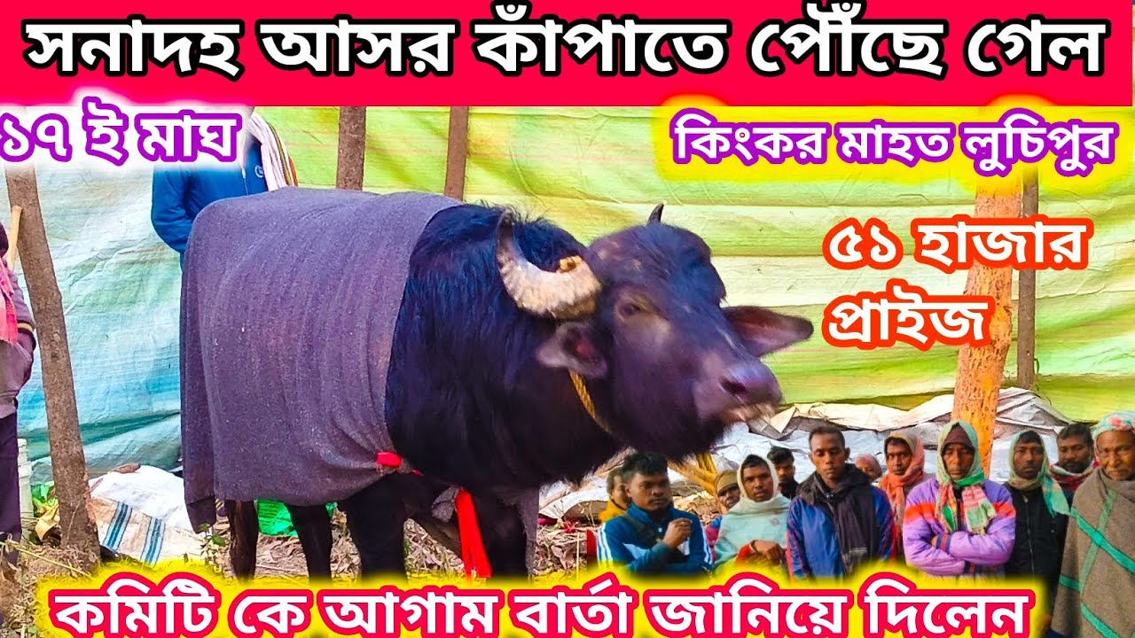 সনাদহ আসর কাঁপাতে পৌঁছে গেল ১ নং কাড়া কি্্কর মাহত লুচিপুর থেকে আগত কমিটি কে আগাম বার্তা দিলেন ||