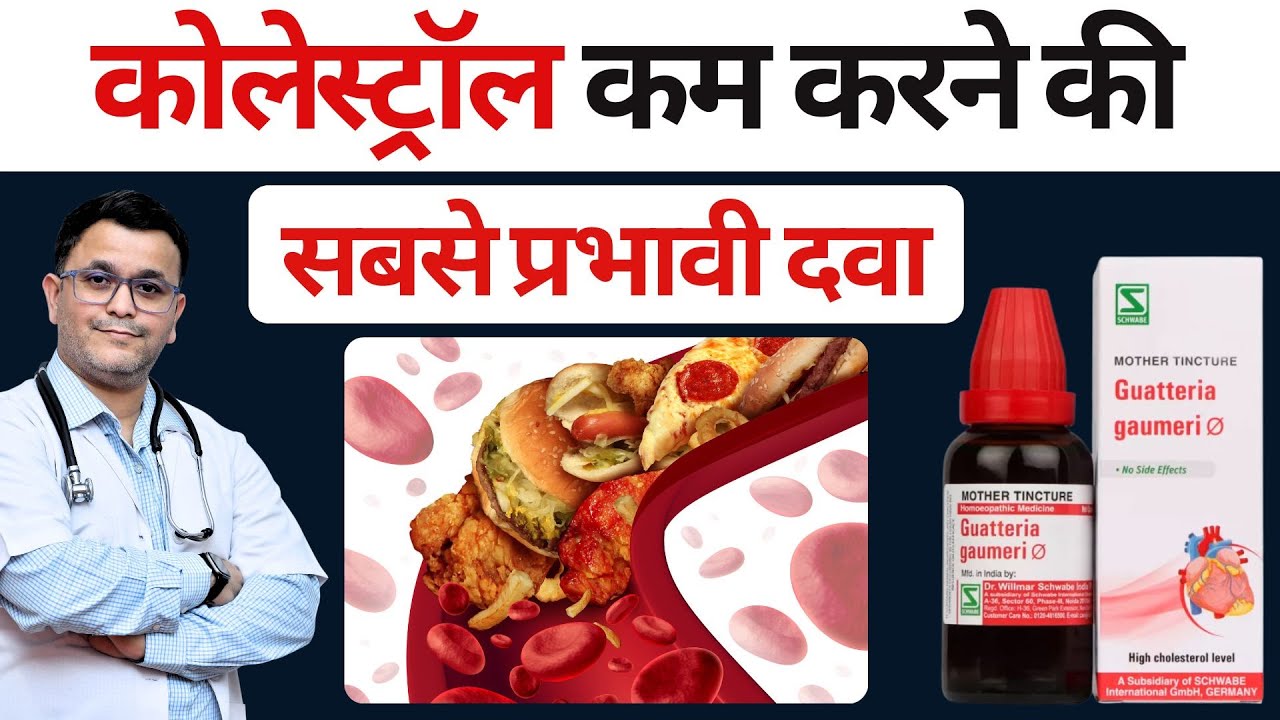 REDUCE Cholesterol FAST with Guatteria Gaumeri Q Homeopathic medicine