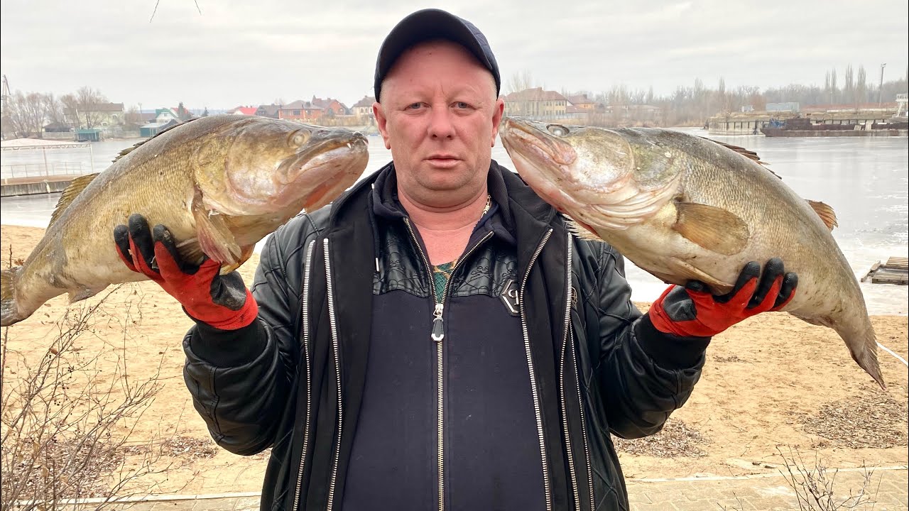 ТАКОЙ ШАШЛЫК ВЫ ТОЧНО НЕ ГОТОВИЛИ ! ЛЮЛЯ КЕБАБ ИЗ СУДАКА С КРЕВЕТКОЙ #шашлык #рыба #рецепт