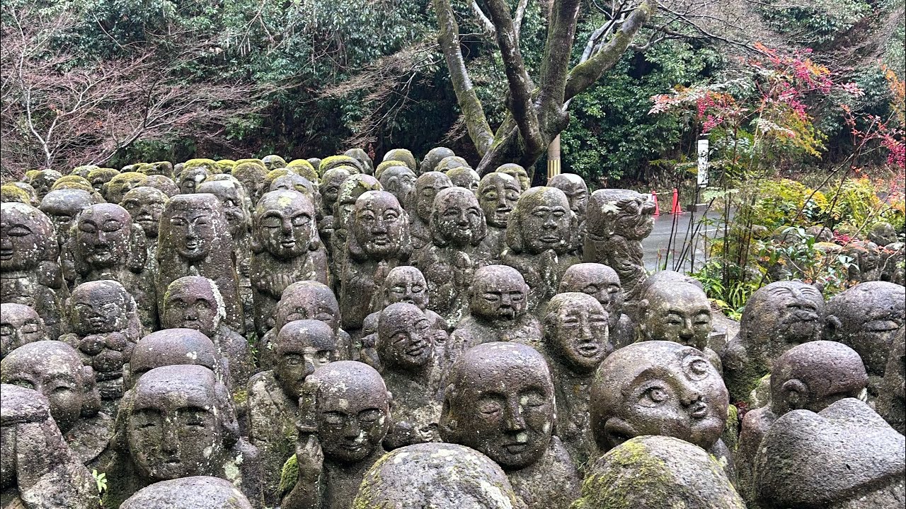 Best Day in Kyoto. Rainy Day. Arashiyama, Otagi Nenbutsuji, Aquarium 